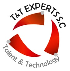 TTExperts Logo